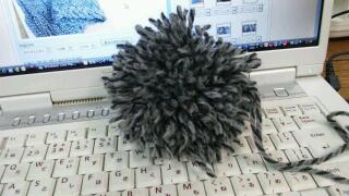 20111105_024123.jpg