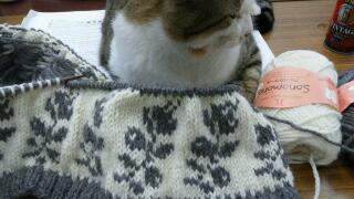 20111114_214857.jpg