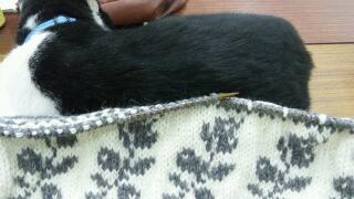 20111114_214839.jpg