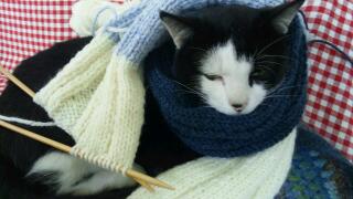 20111115_033050.jpg