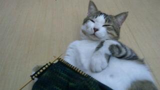 20111118_163628.jpg