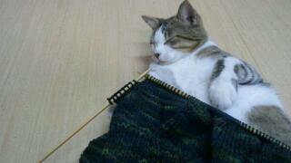 20111118_163614.jpg
