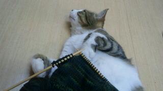 20111118_163602.jpg