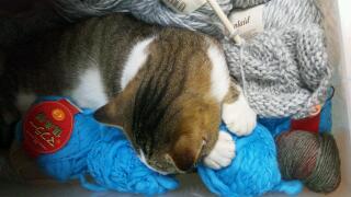 20111119_005430.jpg