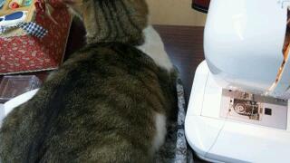 20111122_020925.jpg