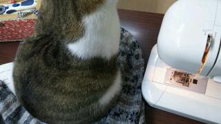 20111122_020849.jpg