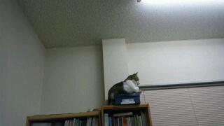 20111122_020817.jpg
