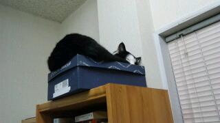 20111122_020757.jpg