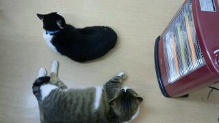 20111122_020708.jpg