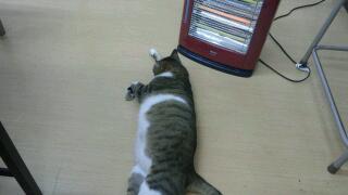 20111122_020638.jpg