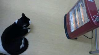 20111122_020612.jpg
