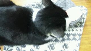 20111127_004914.jpg