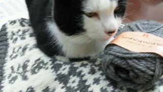 20111127_004810.jpg