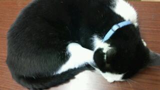 20111206_021145.jpg