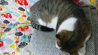 20111206_021137.jpg