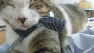 20111212_022443.jpg