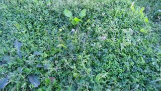 20111218_020308.jpg