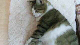 20111219_205812.jpg