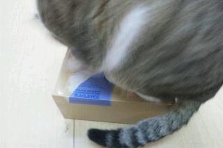 20120128_030135.jpg