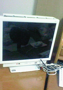 201008272306000.jpg