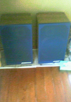 201010111303000.jpg