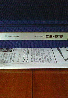 201010111303001.jpg