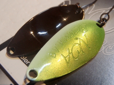 PA240030.JPG