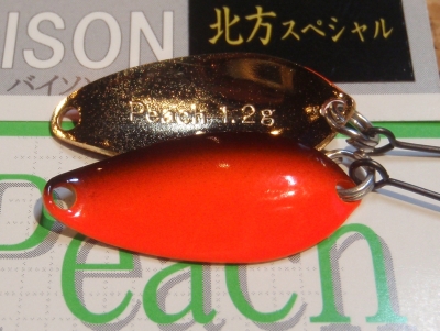 PC180006.JPG
