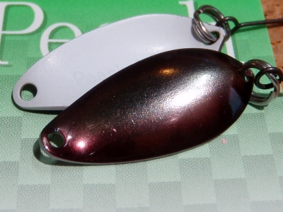 PB080015.JPG