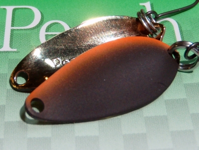 PB080020.JPG