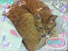 いいよ、このベッドの上で