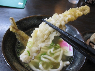 ごぼう天うどん