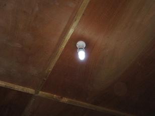 light