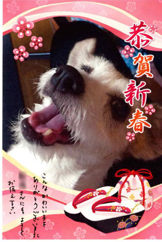 サイズ変更ウィザード-1.jpg