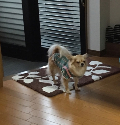 サイズ変更ウィザード-6.jpg