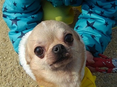 ¥µ¥¤¥ºÊѹ¹¥¦¥£¥¶¡¼¥É-4.jpg