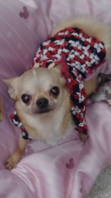 ¥µ¥¤¥ºÊѹ¹¥¦¥£¥¶¡¼¥É-10.jpg