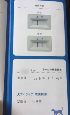 ¥µ¥¤¥ºÊѹ¹¥¦¥£¥¶¡¼¥É-3.jpg
