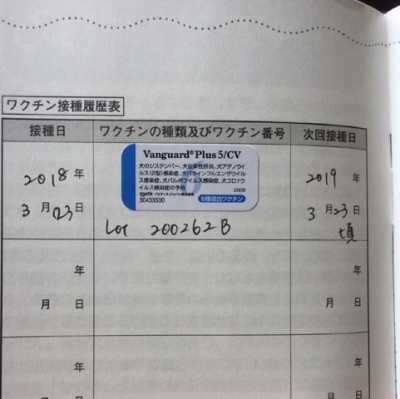 ¥µ¥¤¥ºÊѹ¹¥¦¥£¥¶¡¼¥É-4.jpg
