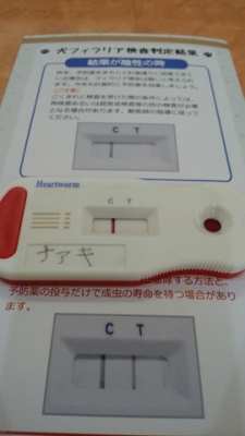 ¥µ¥¤¥ºÊѹ¹¥¦¥£¥¶¡¼¥É-4.jpg