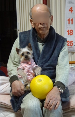 ¥µ¥¤¥ºÊѹ¹¥¦¥£¥¶¡¼¥É-6.jpg