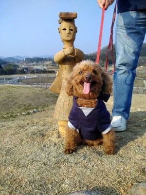 ¥µ¥¤¥ºÊѹ¹¥¦¥£¥¶¡¼¥É-10.jpg