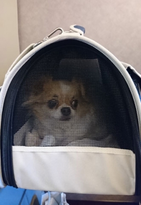 サイズ変更ウィザード-1.jpg