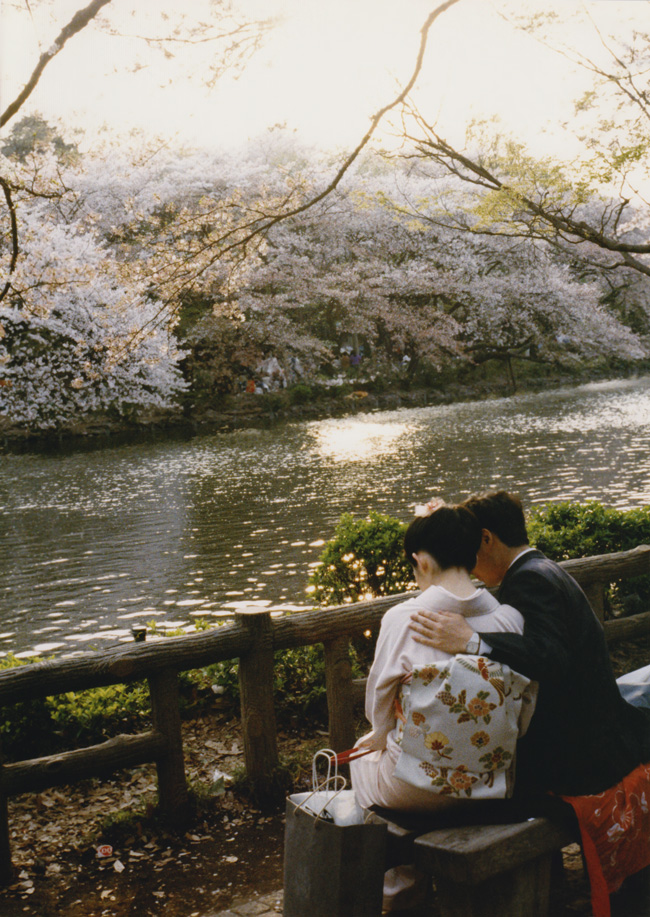 1990年代フィルム写真-花 | K U R A D A S H I 1990年代フィルム写真-花 | K U R A D A S H I