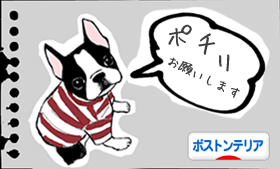 にほんブログ村 犬ブログ ボストンテリアへ