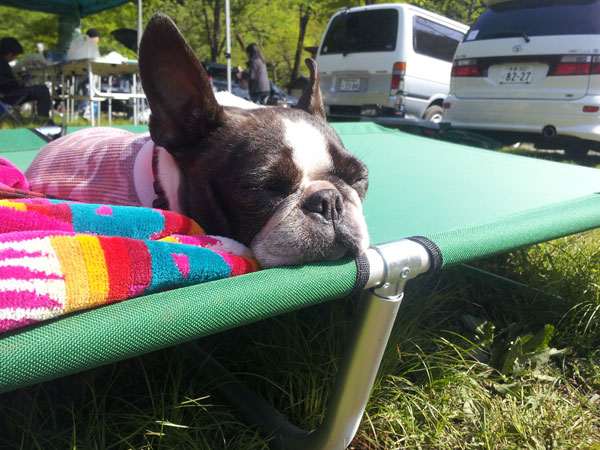 2013053015.jpg