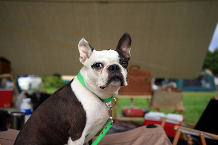 201305316.jpg