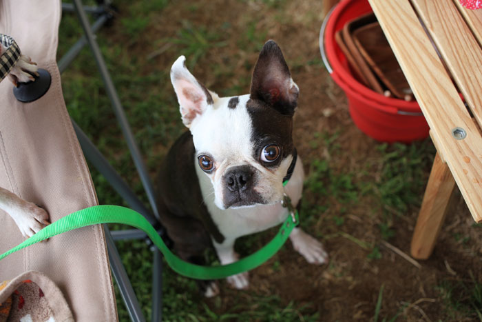 201305317.jpg