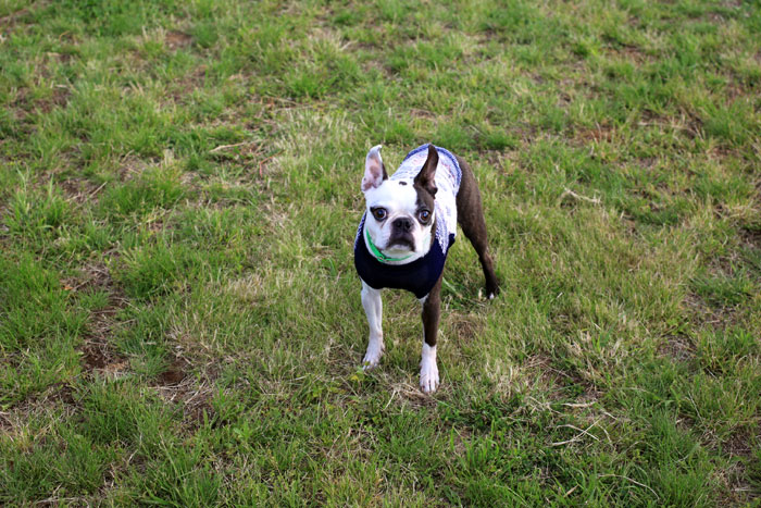 201306011.jpg