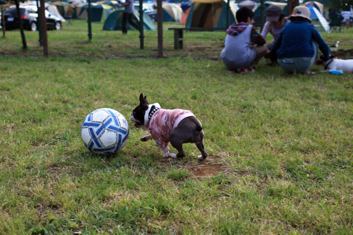 201306013.jpg